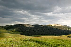 Bighorn National Forest