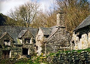 Blaen y Cwm. - geograph.org.uk - 561868