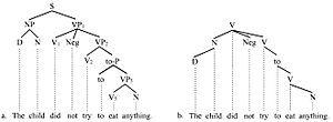 Branching6
