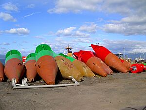 Buoyyard