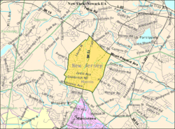 Census Bureau map of Morris Plains, New Jersey