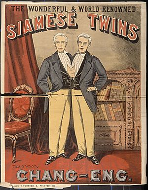 Chang and Eng, the Siamese twins, in evening dress. Colour w Wellcome V0010478