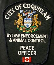 Coq bylaws
