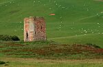 Corsbie Tower - geograph.org.uk - 1422694.jpg