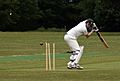 Cricketer bowled