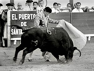 Curro romero puerto.jpg