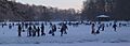Denmark-Odense-winter at Skovsoeen