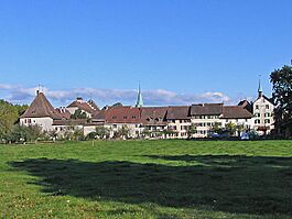 Die westseite der altstadt wangen an der aare schweiz.jpg