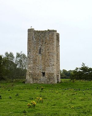 Donore Castle, County Meath.jpg