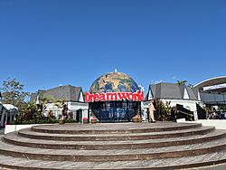 Dreamworld 20251004 150425.jpg