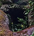 Dunton Cove access, Covenanters artificial cave, Waterside, East Ayrshire