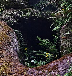 Dunton Cove access, Covenanters artificial cave, Waterside, East Ayrshire