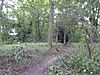 Earlham Park Wood