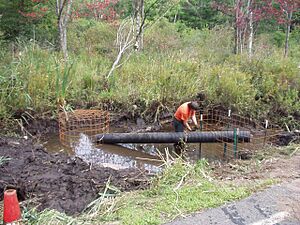 Fence and Pipe Before Ireland Rd 2004