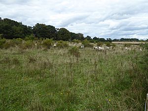 Field Barn Heaths, Hilborough 1.jpg