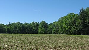 Field at the Ames Family Homestead