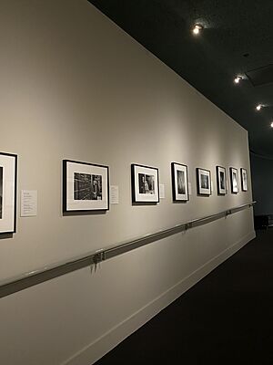 Gallery MOPA Exhibit