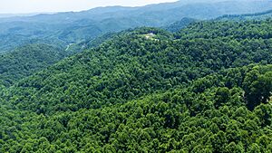 Grandview Overlook
