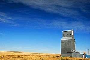 Gwendolen Grain Elevator (Gilliam County, Oregon scenic images) (gilDA0177)