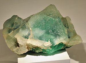 Harvard Museum of Natural History. Fluorite. William Wise Mine, Westmoreland, Cheshire Co., NH (DerHexer) 2012-07-20