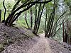 Huddart park to Crystal Spring trail (2).jpg