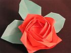 Kawasaki new rose