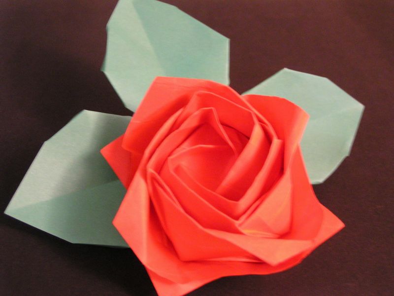 Kawasaki new rose