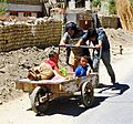 Kids in cart. Leh, Ladakh
