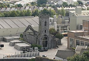 Kilkenny Friary as seen from the Round Tower 2007 08 28