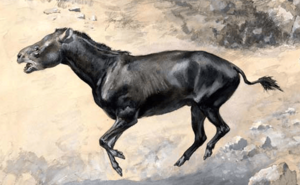 Knight Hyracodon cropped