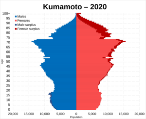 Kumamoto prefecture population pyramid in 2020
