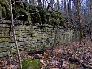 Long-hunter-state-park-wall-tn1