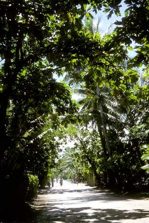 Main street of Funafuti