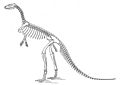 Marsh laosaurus