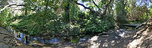 Matadero Creek at Cornelis Bol Park in Barron Park, Palo Alto, California
