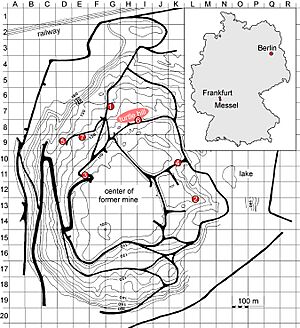 Messel map