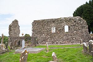 Mothel Priory South Wall 2015 09 16