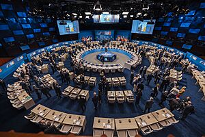 NATO Summit 2025 (54611846295)