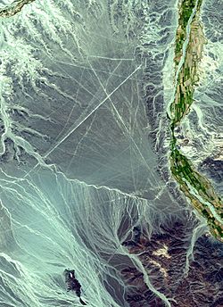 NEO nazca lines big