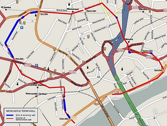 Newcastle town wall map