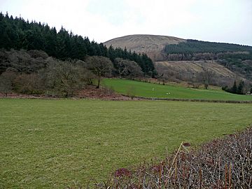 North side of Glyn Collwn - geograph.org.uk - 724462.jpg