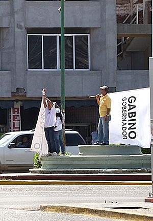 Oaxaca 2010 Elections