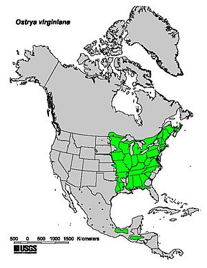 Ostrya virginiana range map.jpg
