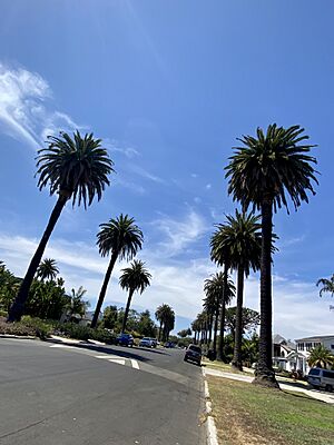 Palms, Mar Vista Oval District