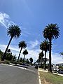 Palms, Mar Vista Oval District