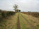 Peddars Way - Little Cressingham