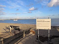 Penguin Island closure sign, June 2024
