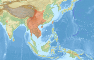 Petaurista philippensis distribution map.png