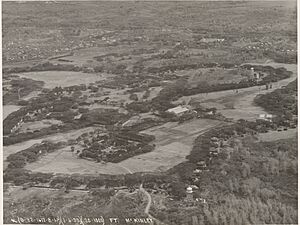 Philippine Island - Luzon Island - NARA - 68156821 (cropped)