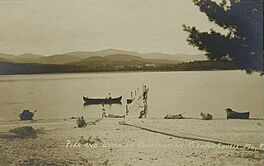 Pier & Beach at Farrington's, Center Lovell, ME.jpg